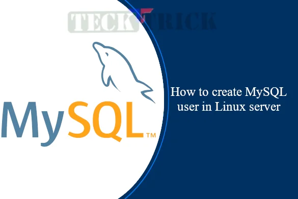 How to create MySQL user in Linux server