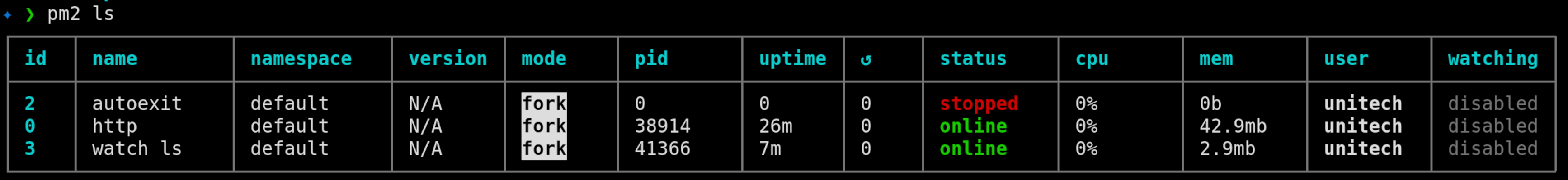 pm2 config